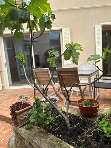 Foto Maison 6 ch avec jacuzzi hyper centre Terrasse