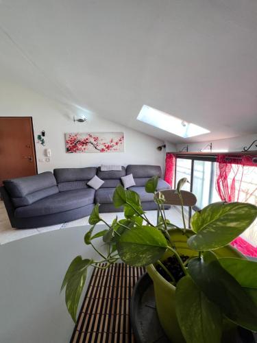 a living room with a couch and a plant at La Madama • Casa Vacanze in Porto Torres