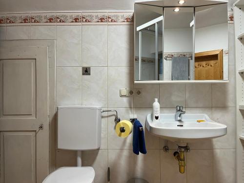 a bathroom with a toilet and a sink and a mirror at Sunside Apartments Gästehaus in Steinbach am Attersee