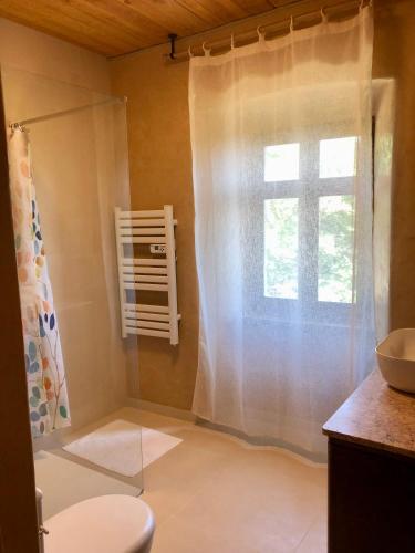 La salle de bains est pourvue d'un rideau de douche et d'une fenêtre. dans l'établissement Appartement dans ancienne maison, à Rocles