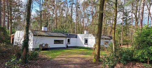 a white house in the middle of a forest at Knabbel en Babbel in Lochem