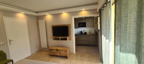 Cuina o zona de cuina de Luxury studio