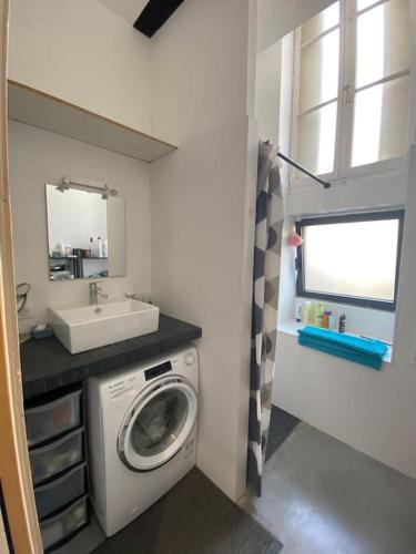 une salle de bain avec une machine à laver et un lavabo dans l'établissement Loft Bordeaux Près du Tram, à Bordeaux