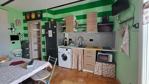 a kitchen with green walls and a washing machine at Il Balcone di Napoleone in Narzole