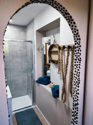 une salle de bain avec douche et miroir dans l'établissement Les Conviviales de Seine-et-Marne, à Bouleurs