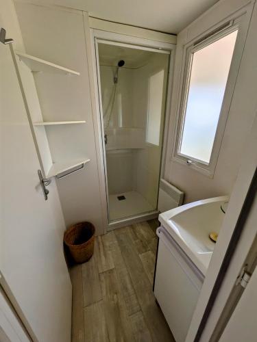 une salle de bain avec une douche, un lavabo et des toilettes dans l'établissement Mobil home 4x8m et terrasse 18m2, à Évrunes