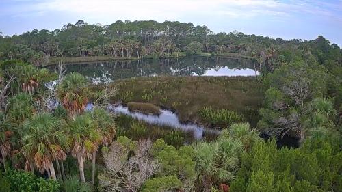 an aerial view of a lake with palm trees at Neptune's Grotto Old Florida Adventure Retreat in Spring Hill
