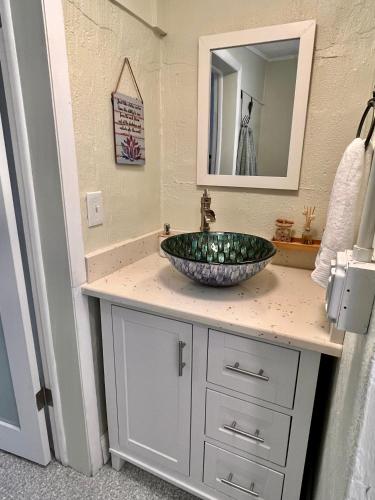 a bathroom with a bowl sink on a counter at Neptune's Grotto Old Florida Adventure Retreat in Spring Hill