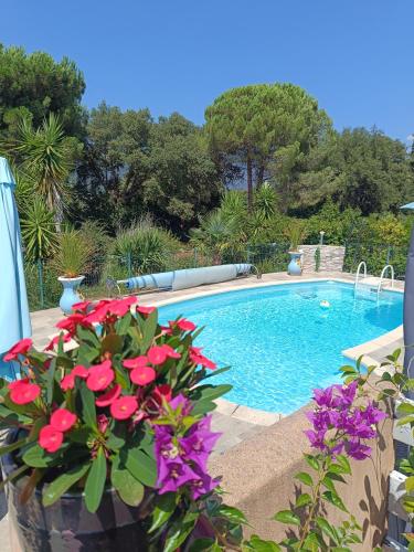 a swimming pool with pink flowers in front of it at chambre d'hôte cosy L'AGHJA in Carbuccia