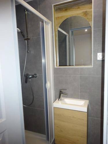 une salle de bain avec une douche, un lavabo et un miroir dans l'établissement studio a 2 mins du palais de la musiques et des congrès, à Strasbourg