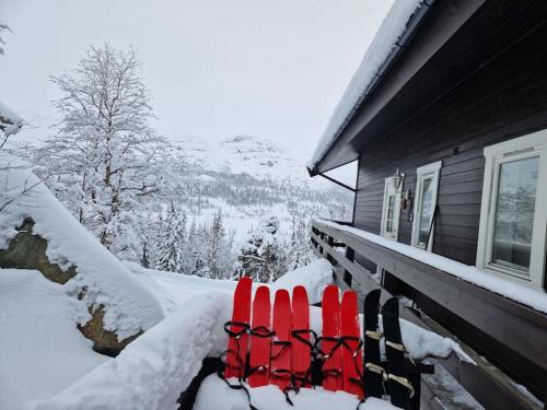 Gaustablikk, 3 soverom, fri utsikt til fjell og innsjø v zimě
