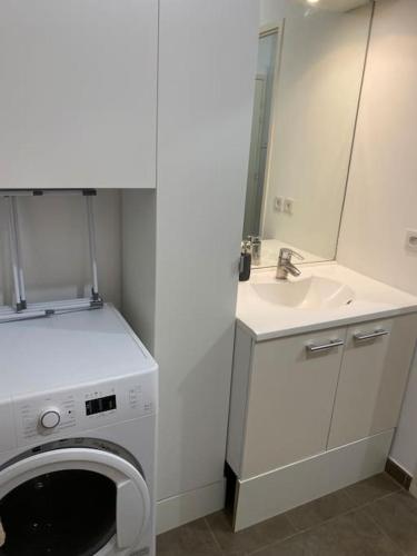 une salle de bain avec une machine à laver et un lavabo dans l'établissement Appt Calme Montreuil limite Vincennes Paris, à Montreuil