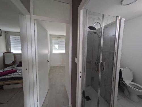 une salle de bain avec douche et toilettes dans l'établissement T3 neuf moderne entièrement équipé vue 3 pers, à Saint-Jean-des-Vignes