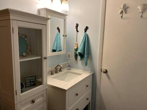 A bathroom at Pirate's Cove - Waterfront - Weeki Wachee River Access with Paddlecraft!!