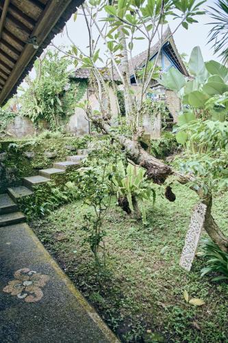 Taman di luar Lembah Sentosa