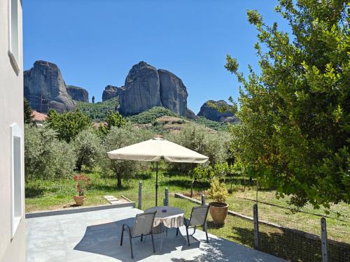 Olive Grove