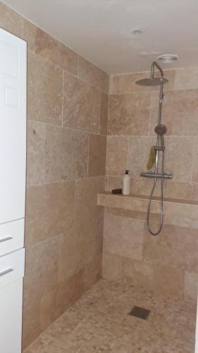 une salle de bain avec une douche avec pommeau de douche dans l'établissement Les lauriers roses, à La Croix-Valmer