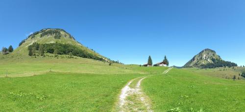Paisaje cerca de este apartamento