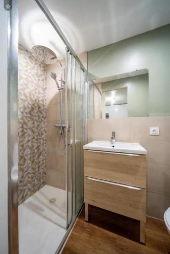 une salle de bain avec douche et lavabo dans l'établissement Le Budapest, à Saint-Michel-de-Maurienne