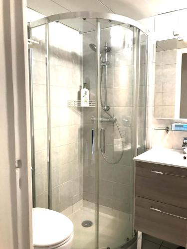 une salle de bain avec une douche avec des toilettes et un lavabo dans l'établissement LE CENTRE - Hypercentre - Face Parcs & Opéra - Proche Thermes, à Vichy