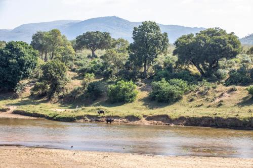 a river with a group of elephants standing in the water at Hennie's Rest in Malelane