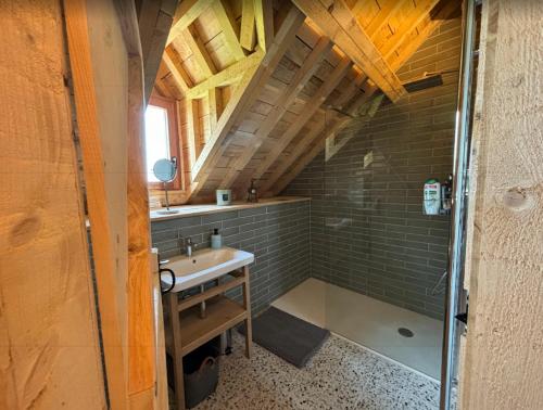 a bathroom with a sink and a shower at La Petite Maison dans la Prairie in Pepinster