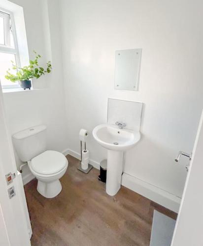 a white bathroom with a toilet and a sink at Wellington Road Apartment 1 in Southtown