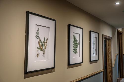 a row of framed pictures of plants on a wall at Bridge End Hotel in Llangollen