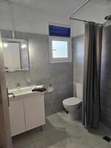 a bathroom with a toilet and a sink and a mirror at Les Terrasses de la Wallon Cannelle in Les Trois-Îlets