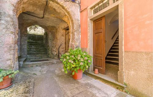 an entrance to a building with a door and a potted plant at Casa La Carrugina in Carro