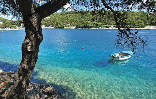 a boat sitting in the water next to a tree at Nice Home In Sumartin With Wifi in Sumartin