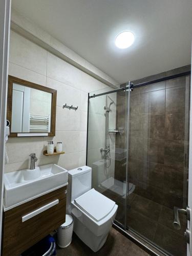 a bathroom with a shower and a toilet and a sink at Svani in Borjomi