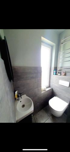 a bathroom with a sink and a toilet and a window at Divstavu maja Gulbene in Gulbene