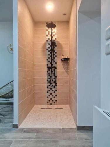une salle de bain avec une douche avec pommeau de douche dans l'établissement Maison cosy avec jacuzzi, à Thourotte