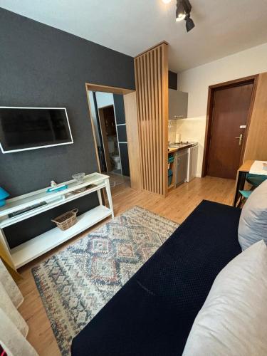 a living room with a bed and a tv on a wall at Brigitte Apartments in Sovata