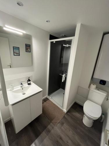 une salle de bain avec toilettes, lavabo et douche dans l'établissement Perfect hideaway in Dieppe, à Dieppe