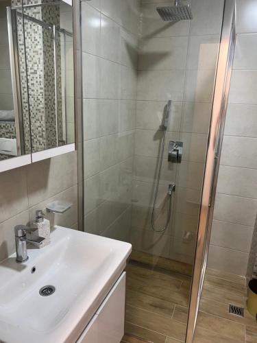 a bathroom with a shower and a sink at Апартман Ђокић in Banja Koviljača