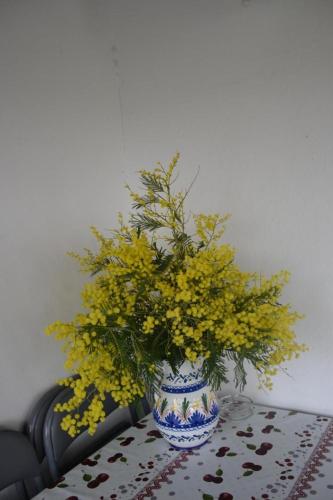 a vase filled with yellow flowers on a table at Ene chocoa in Louhossoa