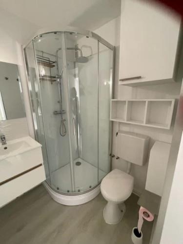 une salle de bain avec une douche en verre et des toilettes dans l'établissement Magnifique studio avec vue - 200 metres de la plage, à Saint Cyprien Plage