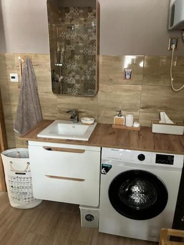 a bathroom with a washing machine and a sink at Domek Zielona Sowa in Siemianówka