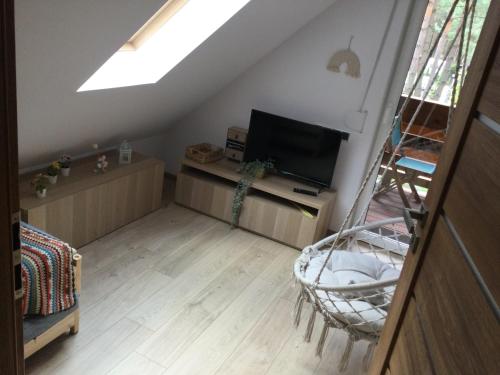 a living room with a television and a skylight at Domek Zielona Sowa in Siemianówka