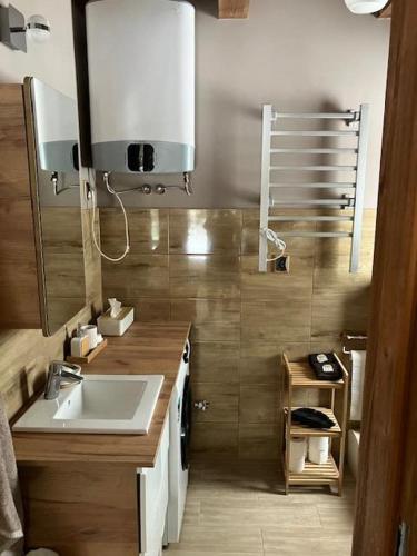 a bathroom with a sink and a mirror at Domek Zielona Sowa in Siemianówka