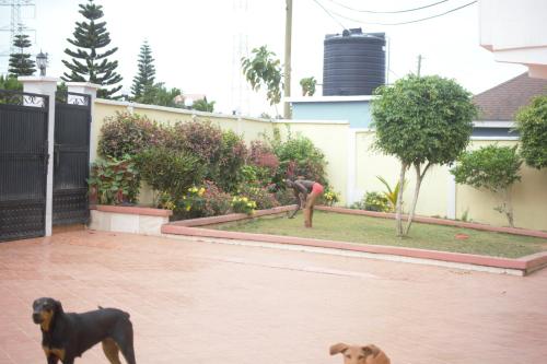 a man standing in a yard with two dogs at Breathtaking view in Inchaban