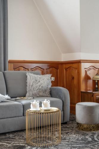 Χώρος καθιστικού στο Sądelski Dwór Medical & SPA