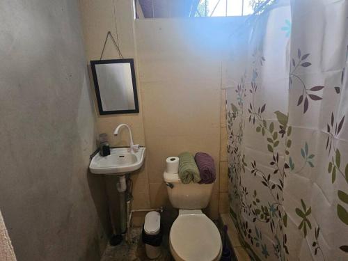 a small bathroom with a toilet and a sink at Departamento Económico, Familiar in San Isidro