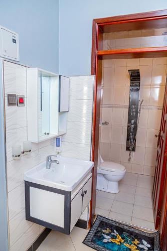 a bathroom with a sink and a toilet at Asante Apartments in Bulambiro