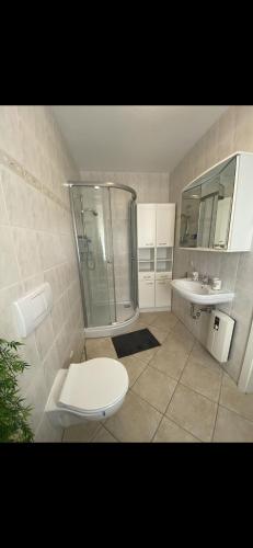 a bathroom with a toilet and a shower and a sink at Zur Rose in Olbersdorf