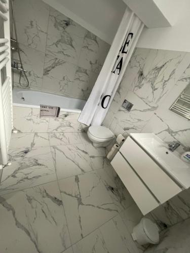 a bathroom with a toilet and a sink at Gabriela Studio Central by Gabriela Apartamente in Satu Mare