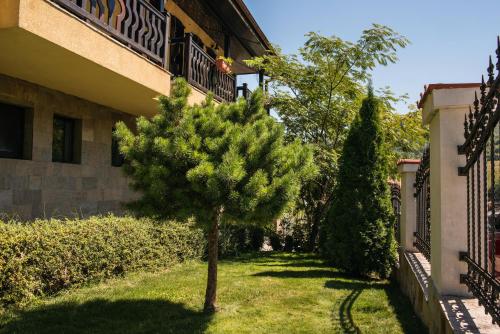 a small tree in the grass next to a building at Chiflika Family Hotel in Asenovgrad