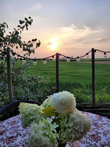 a table with a bunch of white flowers on it at Dijksterhuisje in Pieterburen